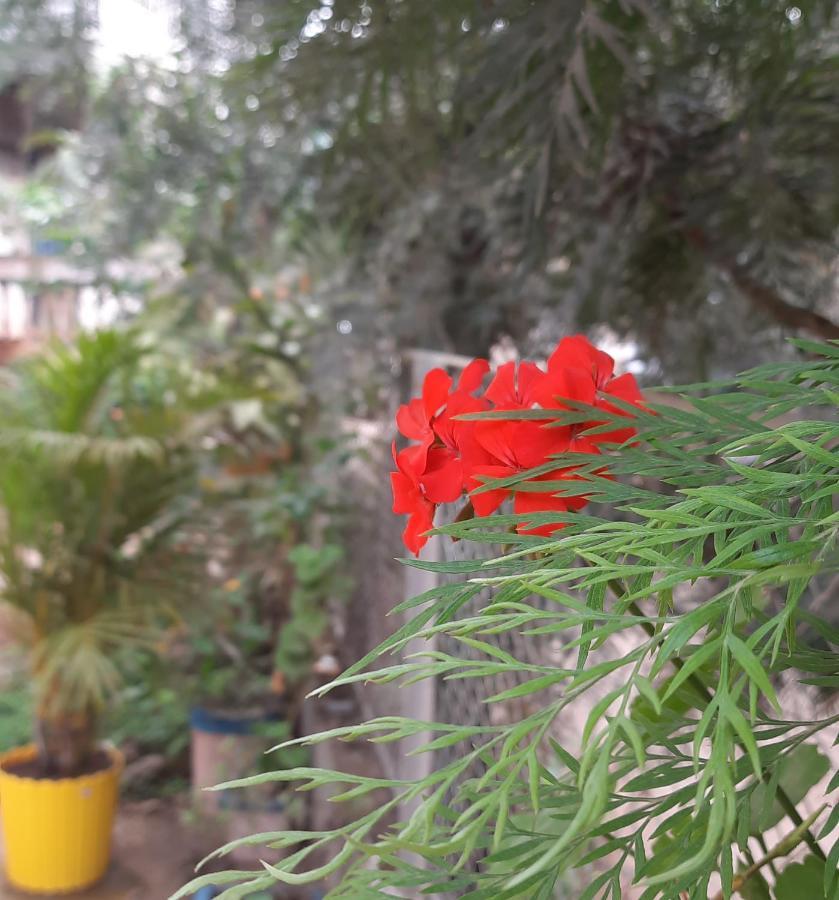 Trimurti Holiday Home Panchgani Eksteriør bilde