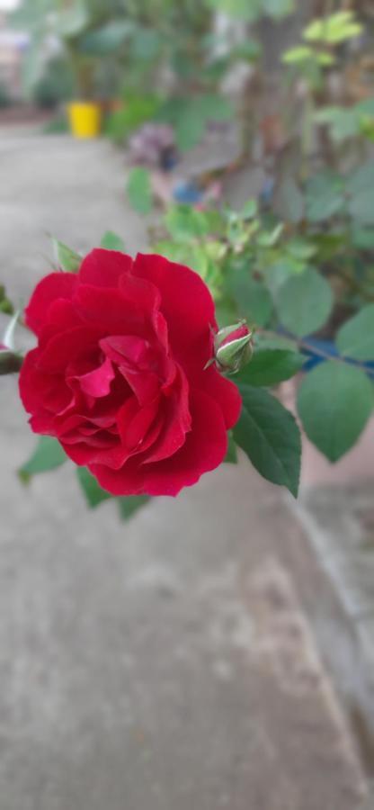 Trimurti Holiday Home Panchgani Eksteriør bilde
