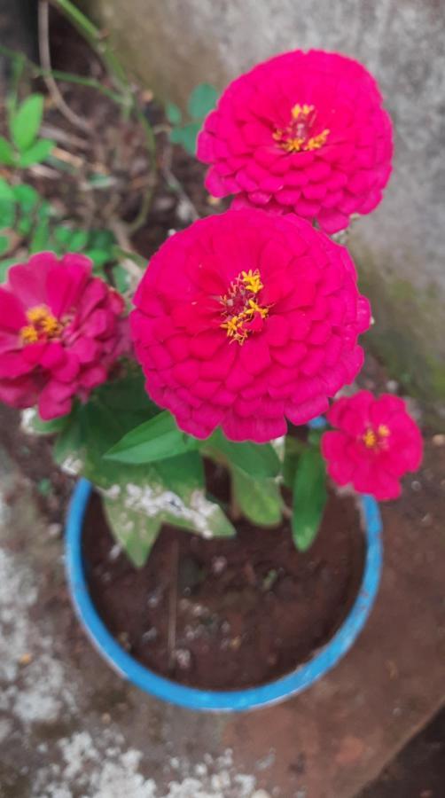Trimurti Holiday Home Panchgani Eksteriør bilde