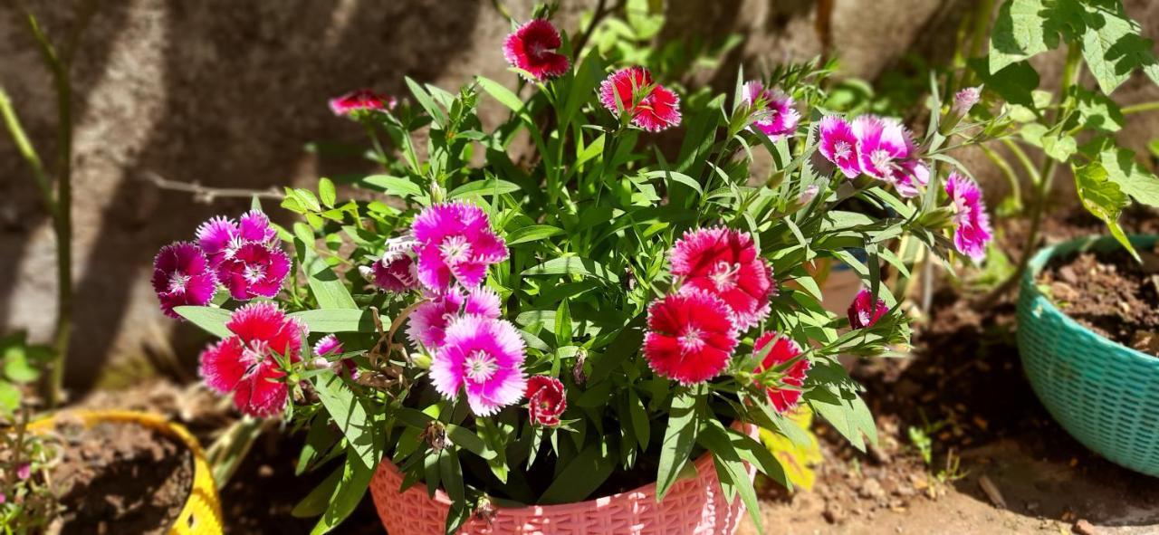Trimurti Holiday Home Panchgani Eksteriør bilde