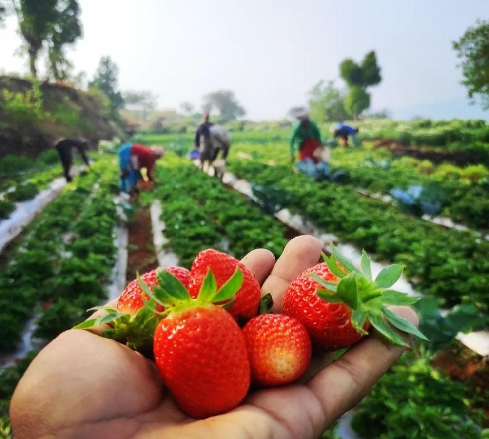 Trimurti Holiday Home Panchgani Eksteriør bilde